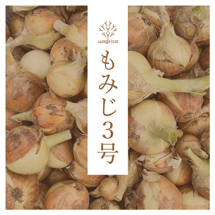 wagrica